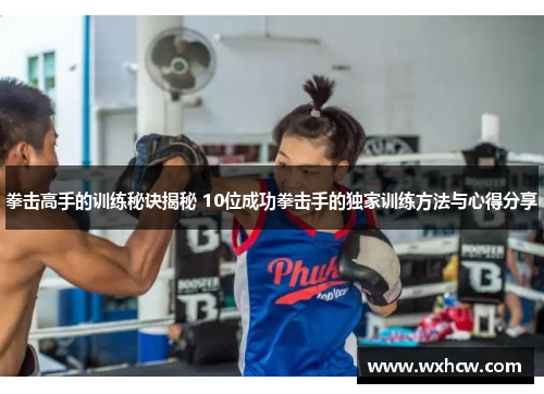 拳击高手的训练秘诀揭秘 10位成功拳击手的独家训练方法与心得分享