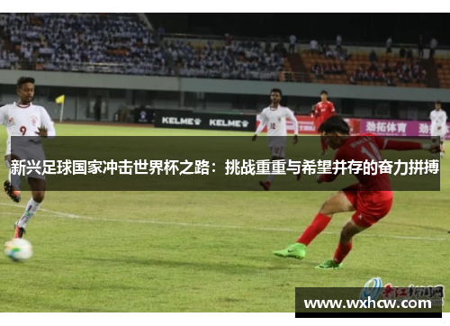 新兴足球国家冲击世界杯之路：挑战重重与希望并存的奋力拼搏