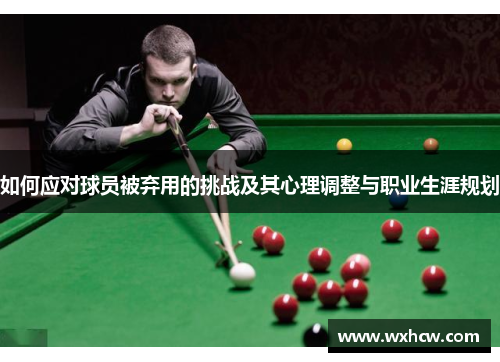 如何应对球员被弃用的挑战及其心理调整与职业生涯规划