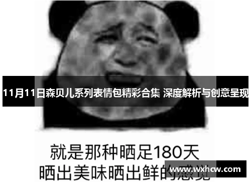 11月11日森贝儿系列表情包精彩合集 深度解析与创意呈现