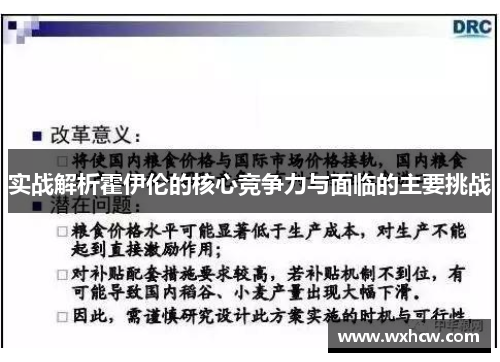 实战解析霍伊伦的核心竞争力与面临的主要挑战