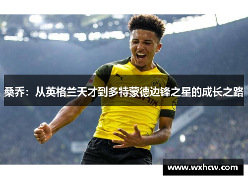 桑乔：从英格兰天才到多特蒙德边锋之星的成长之路