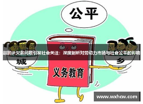 赵鹏谈欠薪问题引发社会关注：深度剖析对劳动力市场与社会公平的影响