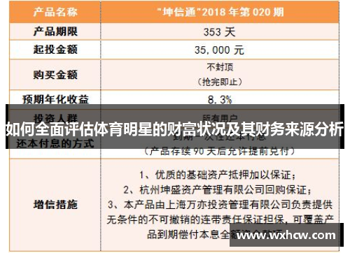 如何全面评估体育明星的财富状况及其财务来源分析