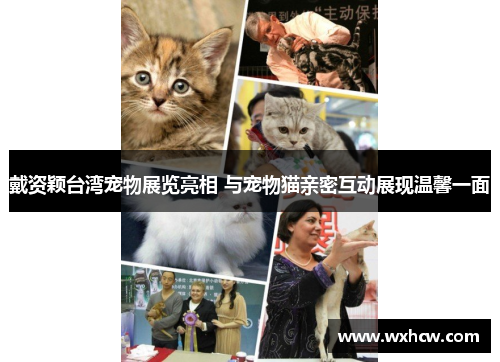 戴资颖台湾宠物展览亮相 与宠物猫亲密互动展现温馨一面