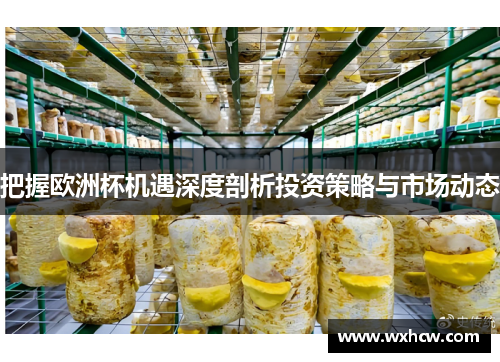 把握欧洲杯机遇深度剖析投资策略与市场动态