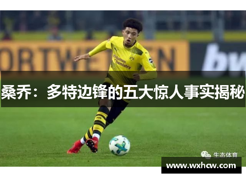 桑乔：多特边锋的五大惊人事实揭秘