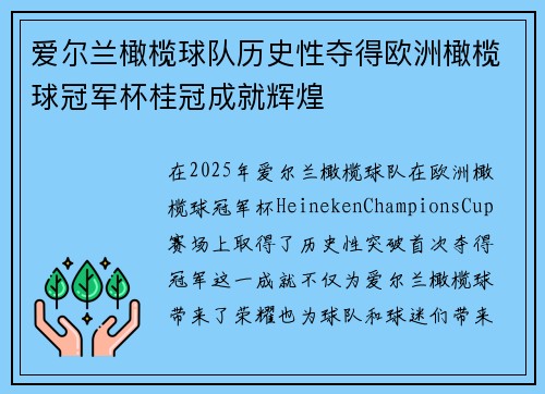 爱尔兰橄榄球队历史性夺得欧洲橄榄球冠军杯桂冠成就辉煌